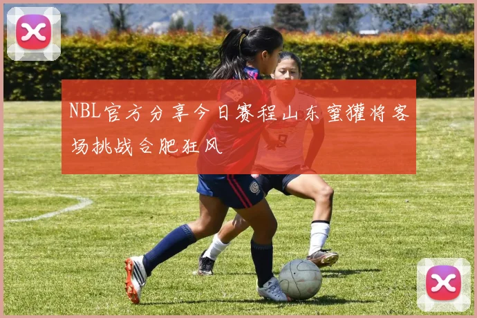 NBL官方分享今日赛程山东蜜獾将客场挑战合肥狂风